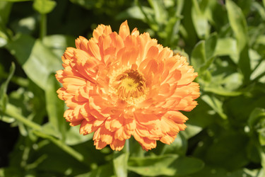 Similar image 21117343