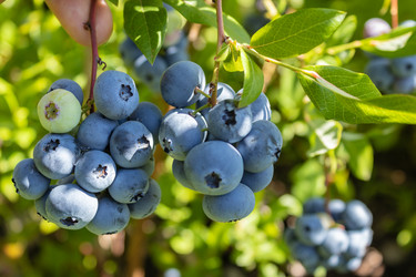 Similar image 21117344