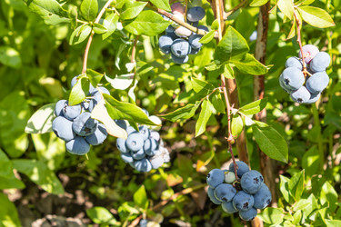 Similar image 21117345