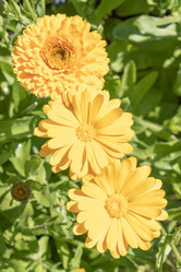 Similar image 21117346