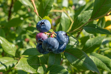 Similar image 21117347