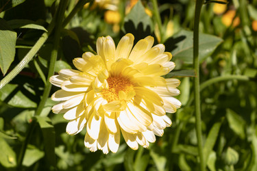 Similar image 21120236