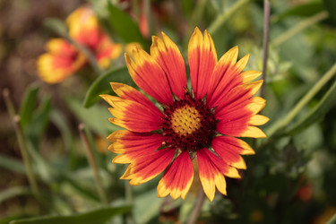 Similar image 21120238