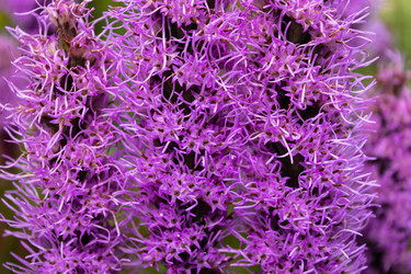 Similar image 21120239