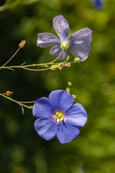 Similar image 21120241