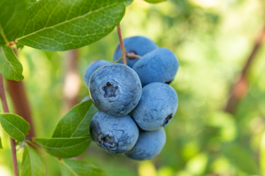 Similar image 21120243