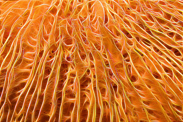 Similar image 21120244