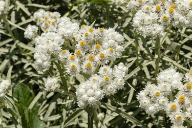 Similar image 21120245