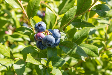 Similar image 21120246