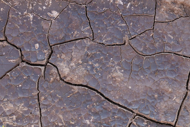 Similar image 21120247