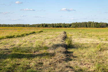 Similar image 21120248