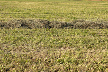 Similar image 21120252