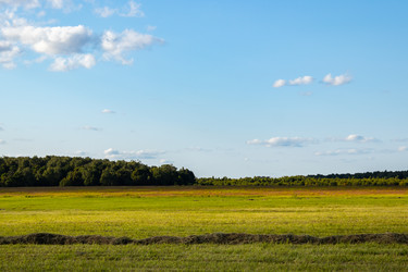 Similar image 21120254