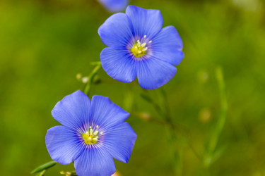 Similar image 21120255