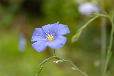 Similar image 21120256