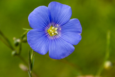 Similar image 21120257