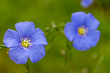 Similar image 21120258