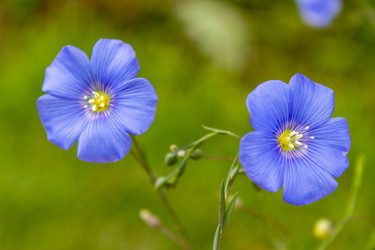 Similar image 21120259