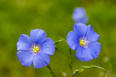 Similar image 21120263