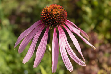 Similar image 21120264