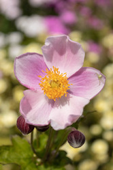 Similar image 21120265