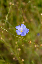 Similar image 21120266