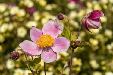 Similar image 21120267