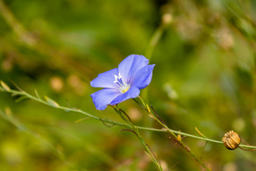 Similar image 21120268