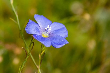 Similar image 21120269