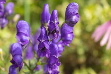 Similar image 21120270