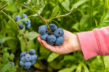 Similar image 21120271