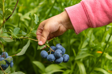 Similar image 21120272