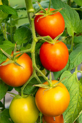 Similar image 21120273