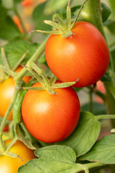 Similar image 21120274