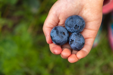 Similar image 21120276