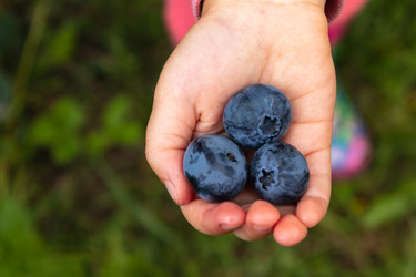 Similar image 21120277