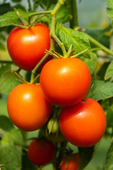 Similar image 21120280