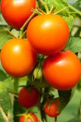 Similar image 21120281