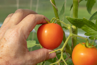 Similar image 21120284