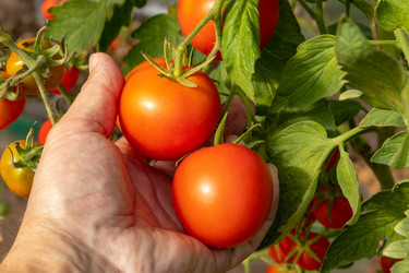 Similar image 21120285