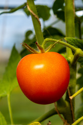 Similar image 21120286