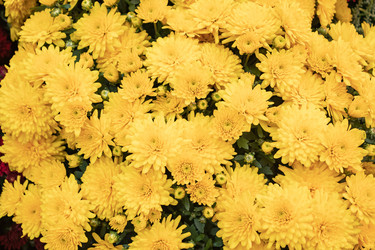 Similar image 21120287