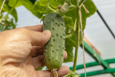 Similar image 21120291