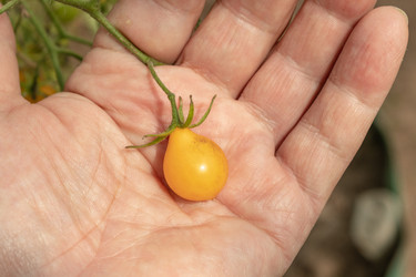 Similar image 21120292