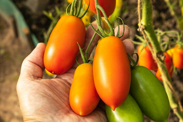 Similar image 21120293