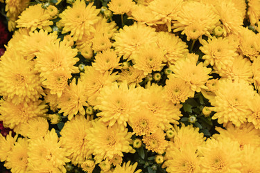 Similar image 21120595