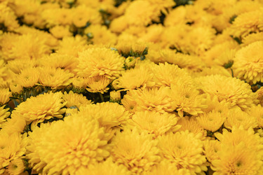 Similar image 21120596