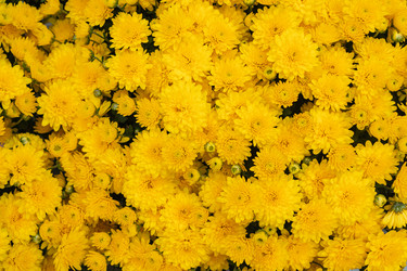 Similar image 21120597