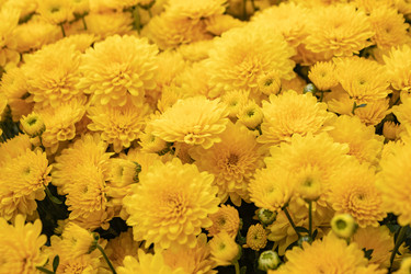 Similar image 21120598