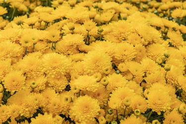 Similar image 21120599